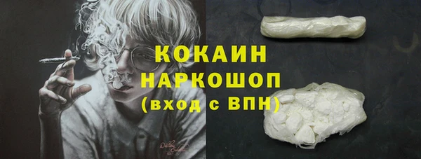 винт Козельск